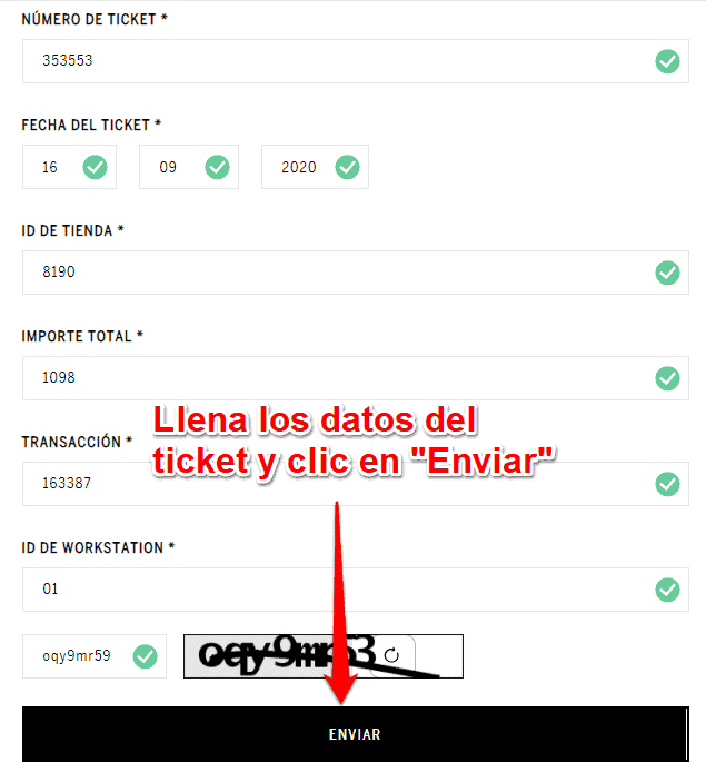 llena los datos del ticket