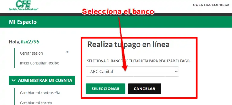 Cómo Pagar Cfe En Línea Guía Y Recomendaciones 3199