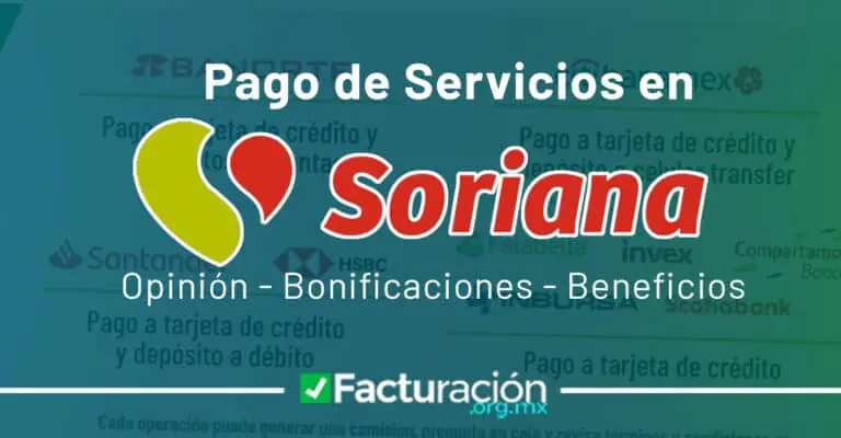 Lee más sobre el artículo Pago de Servicios en Soriana