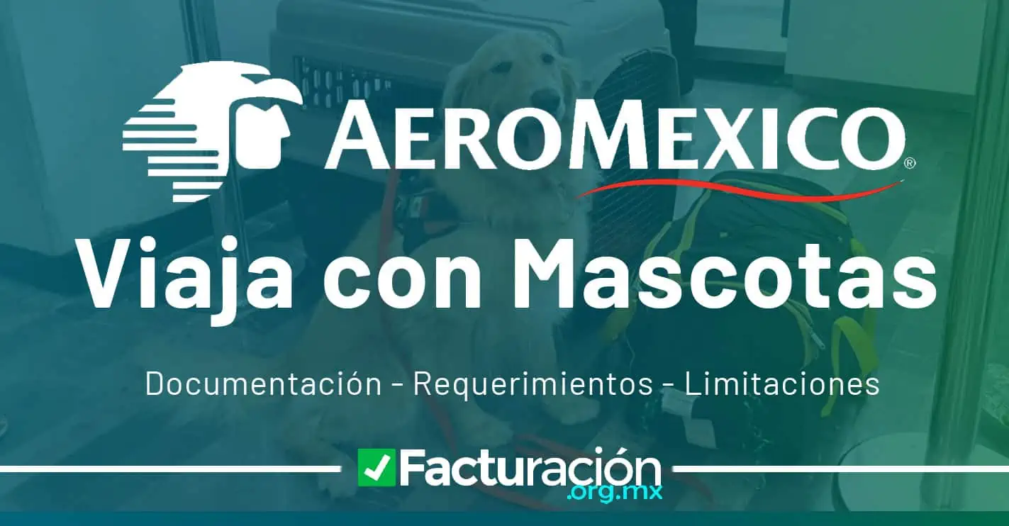 Lee más sobre el artículo Aeroméxico Viaja con Mascotas 