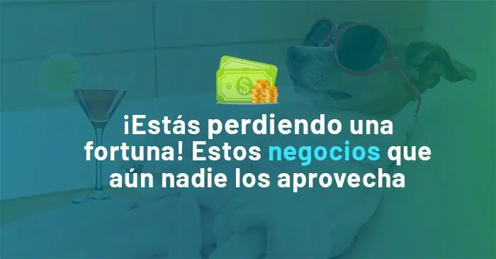 Lee más sobre el artículo  15 Ideas de Negocios que Nadie ha Explotado Todavía